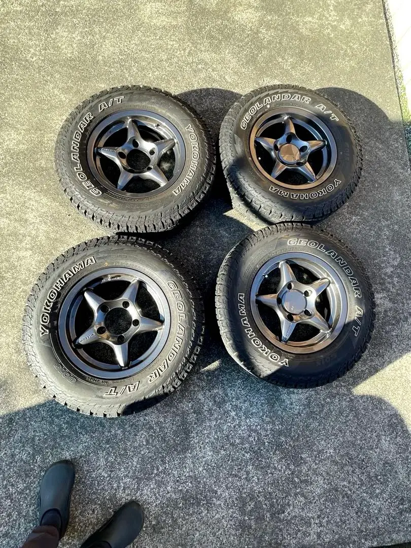 2026年最新】アピオ ワイルドボアの人気アイテム - メルカリ