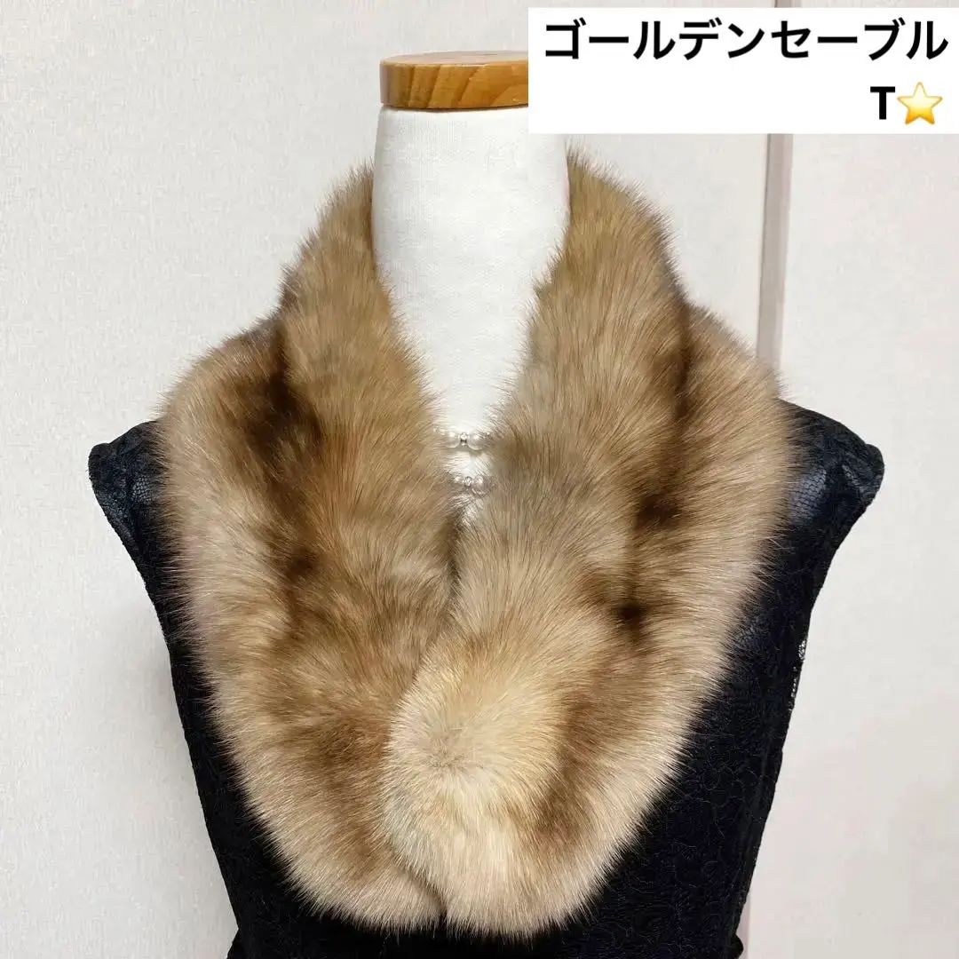2026年最新】ゴールデンセーブルの人気アイテム - メルカリ