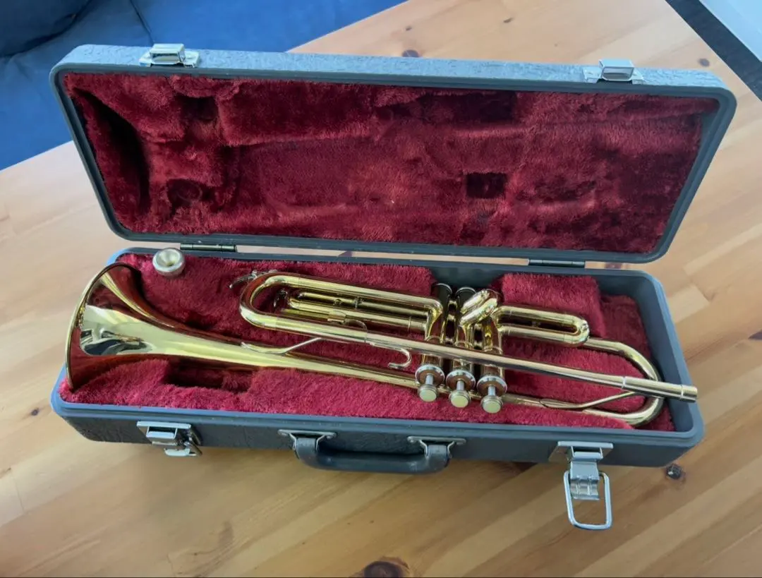 2026年最新】ytr 235の人気アイテム - メルカリ