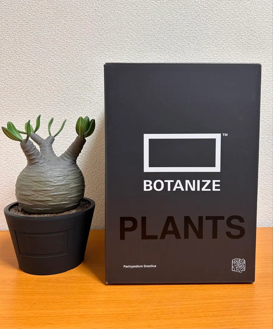 2026年最新】BOTANIZE メディコムトイの人気アイテム - メルカリ