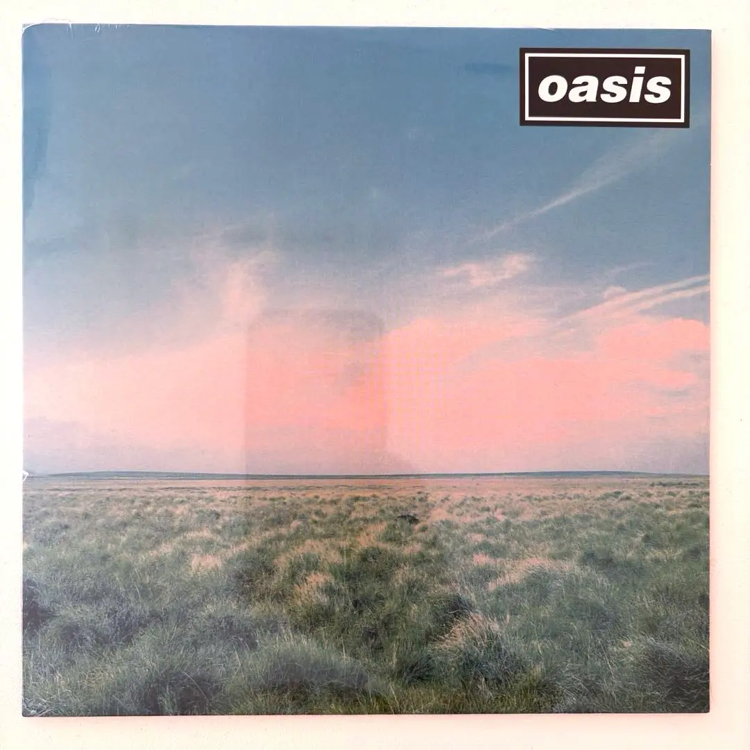 2026年最新】oasis whatever LPの人気アイテム - メルカリ