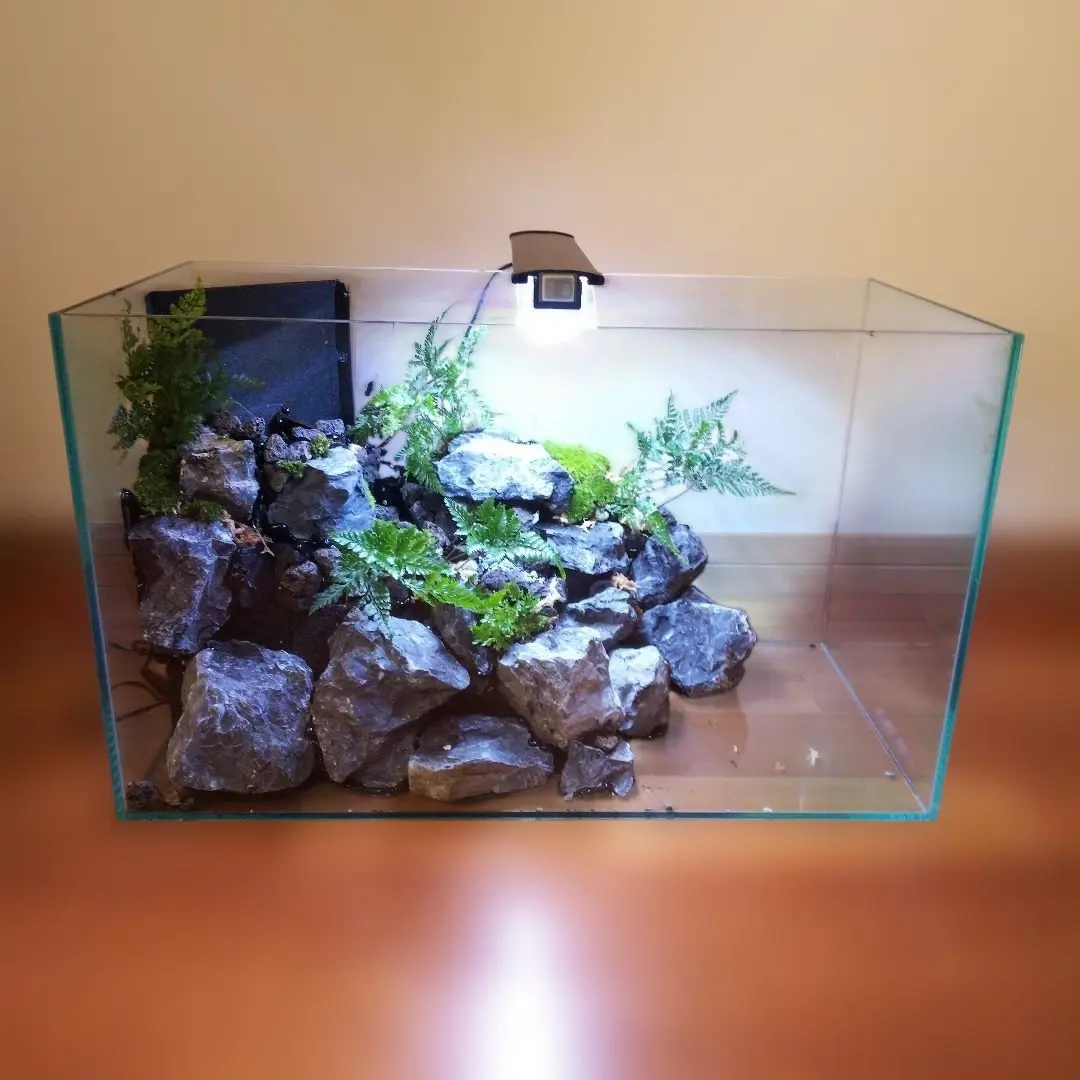 2026年最新】アクアテラリウム 滝の人気アイテム - メルカリ