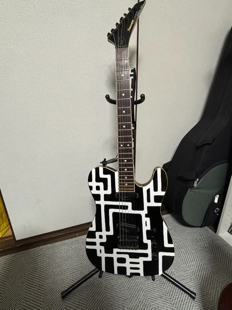 2026年最新】布袋 tej-7 fernandesの人気アイテム - メルカリ