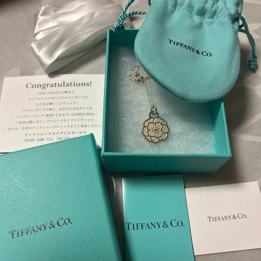 2026年最新】名古屋ウィメンズマラソン 2024 ティファニーの人気