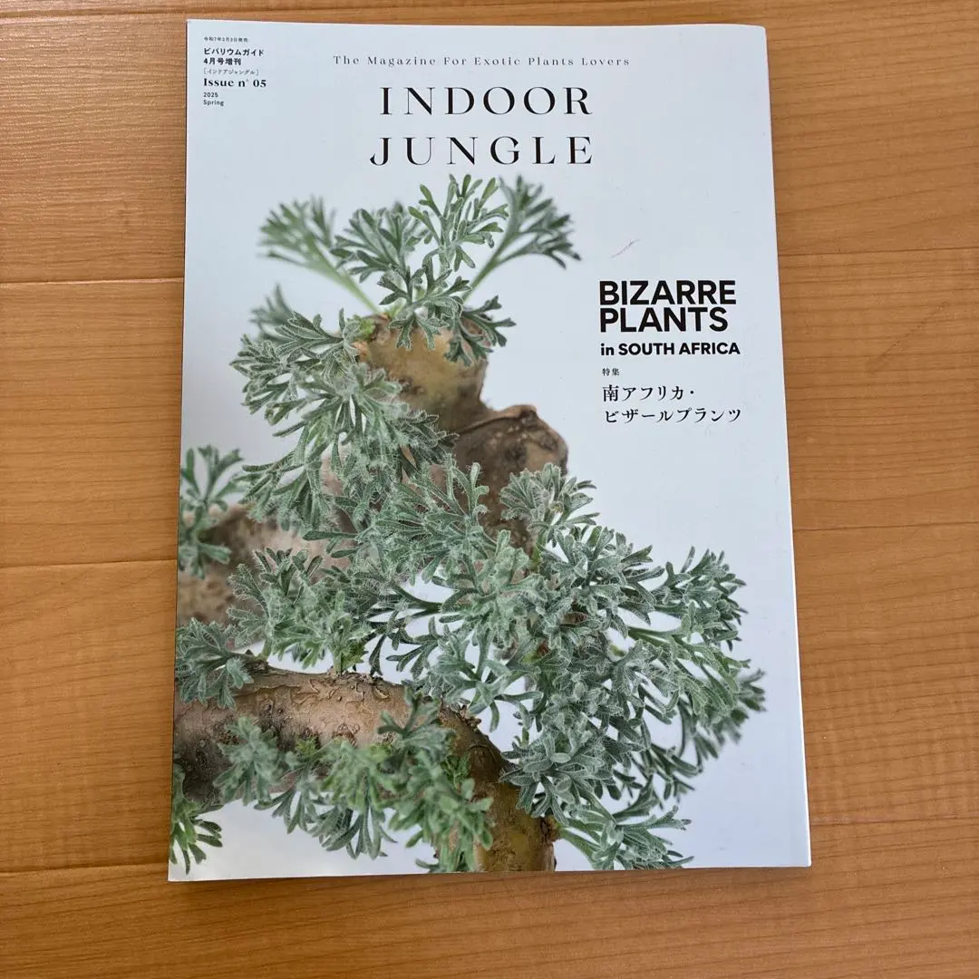 2026年最新】インドアジャングルの人気アイテム - メルカリ