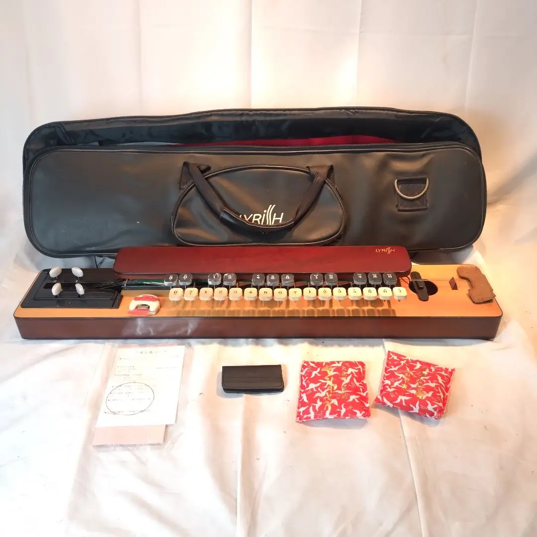 2026年最新】大正琴ライリッシュの人気アイテム - メルカリ