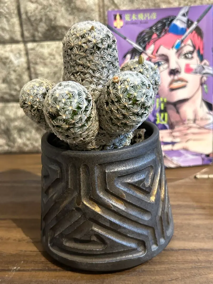 2026年最新】笠間焼 植木鉢の人気アイテム - メルカリ