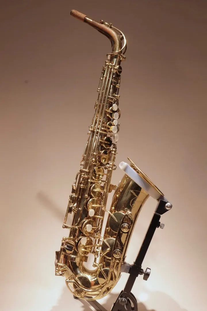 2026年最新】サックス nikkanの人気アイテム - メルカリ