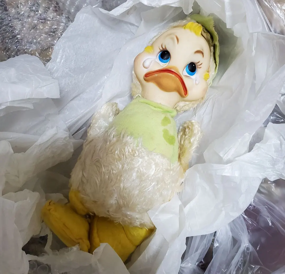 m37279687612_1.jpg?1770037755