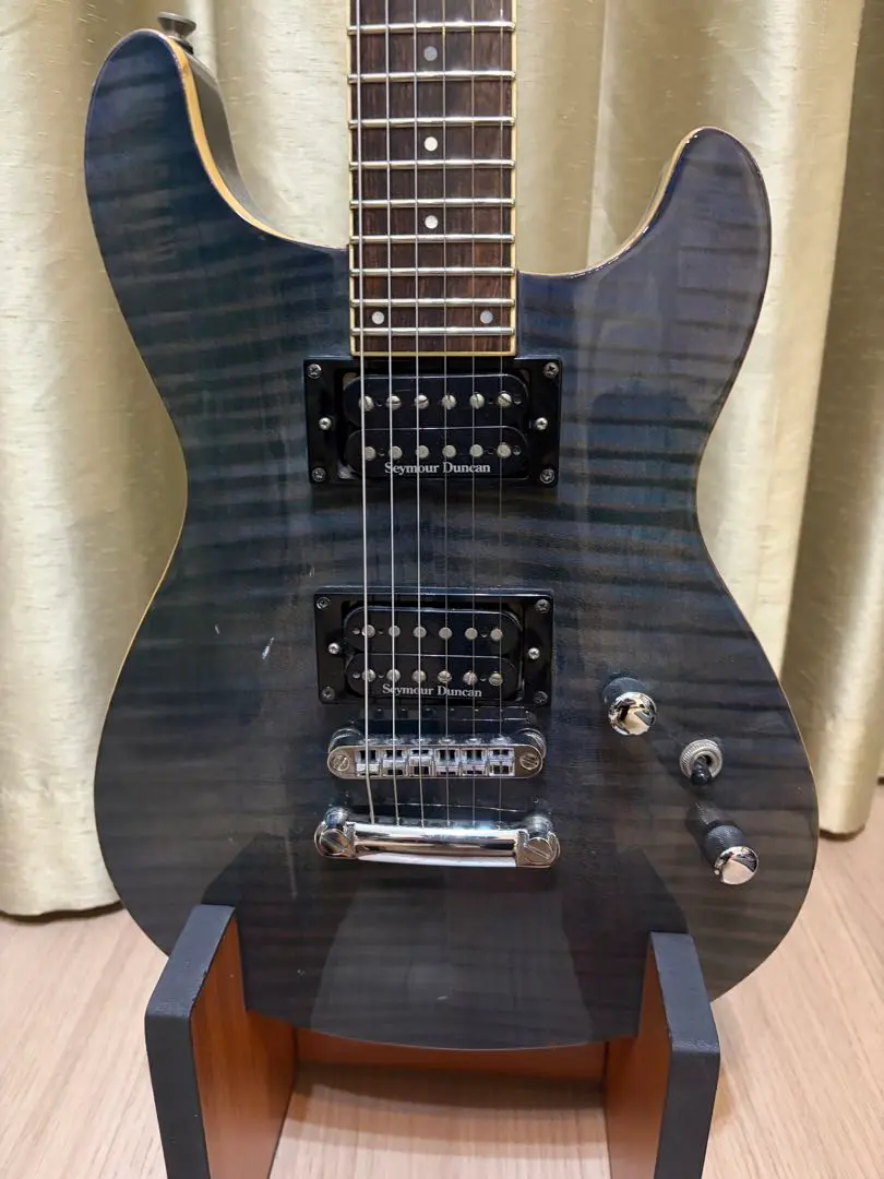 2026年最新】fernandes apgの人気アイテム - メルカリ