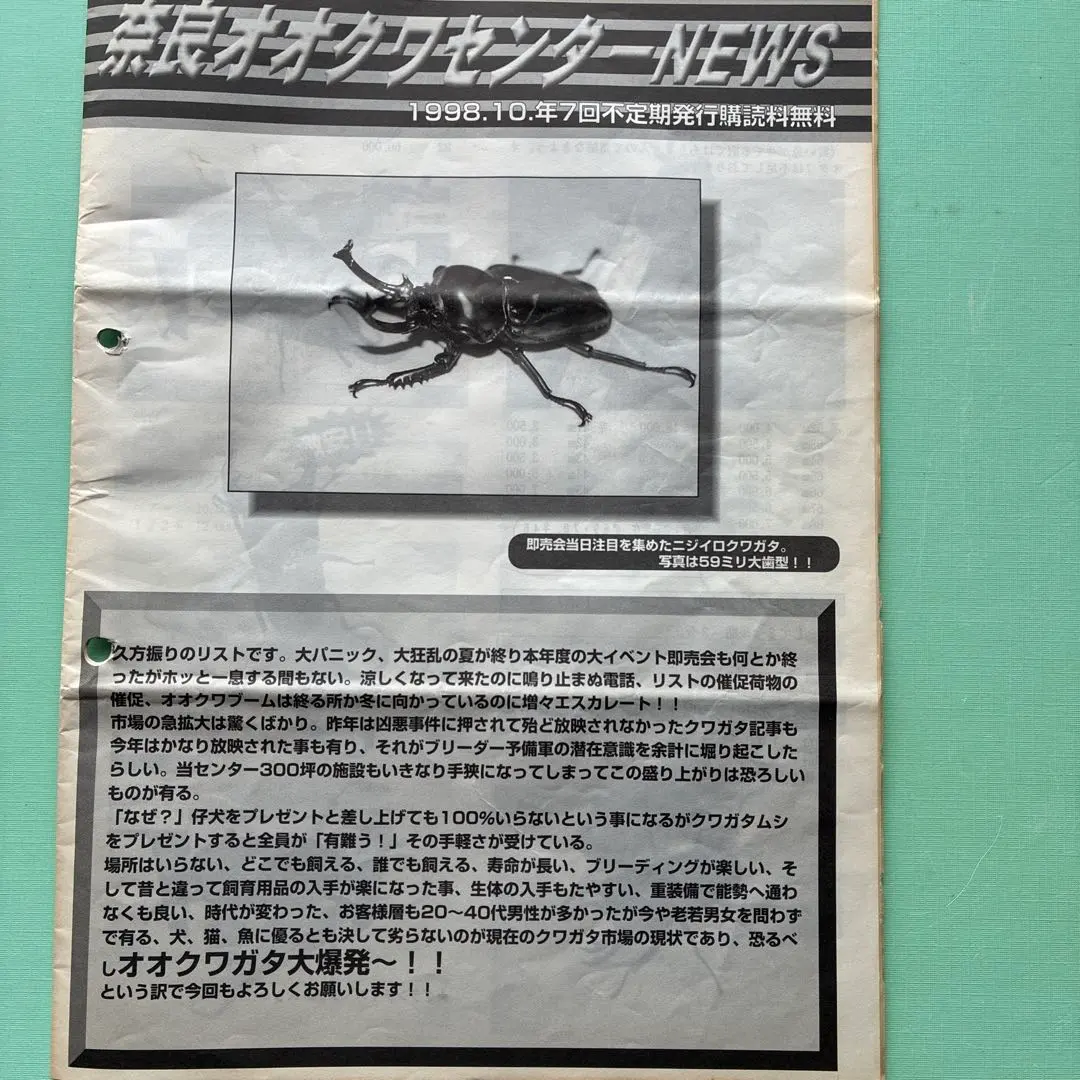 2026年最新】奈良オオクワセンターの人気アイテム - メルカリ