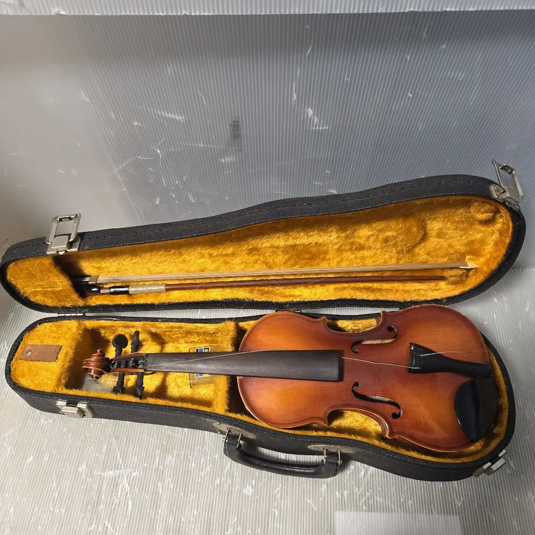 2026年最新】木曽鈴木バイオリンの人気アイテム - メルカリ