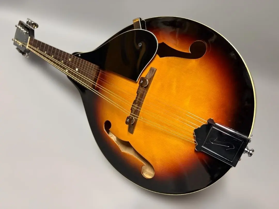 2026年最新】フラットマンドリンの人気アイテム - メルカリ