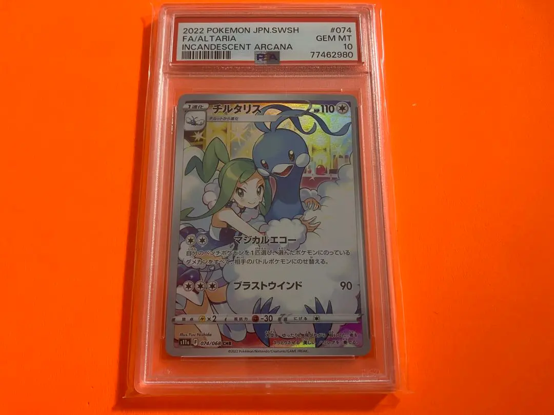 m42576481201_1.jpg?1770914481