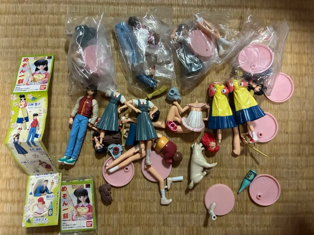 m45743105859_1.jpg?1771254098