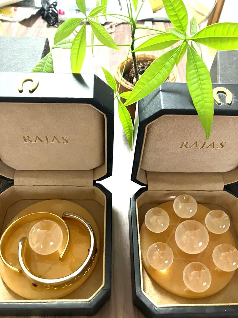 2026年最新】ラジャ イオンゴールドの人気アイテム - メルカリ