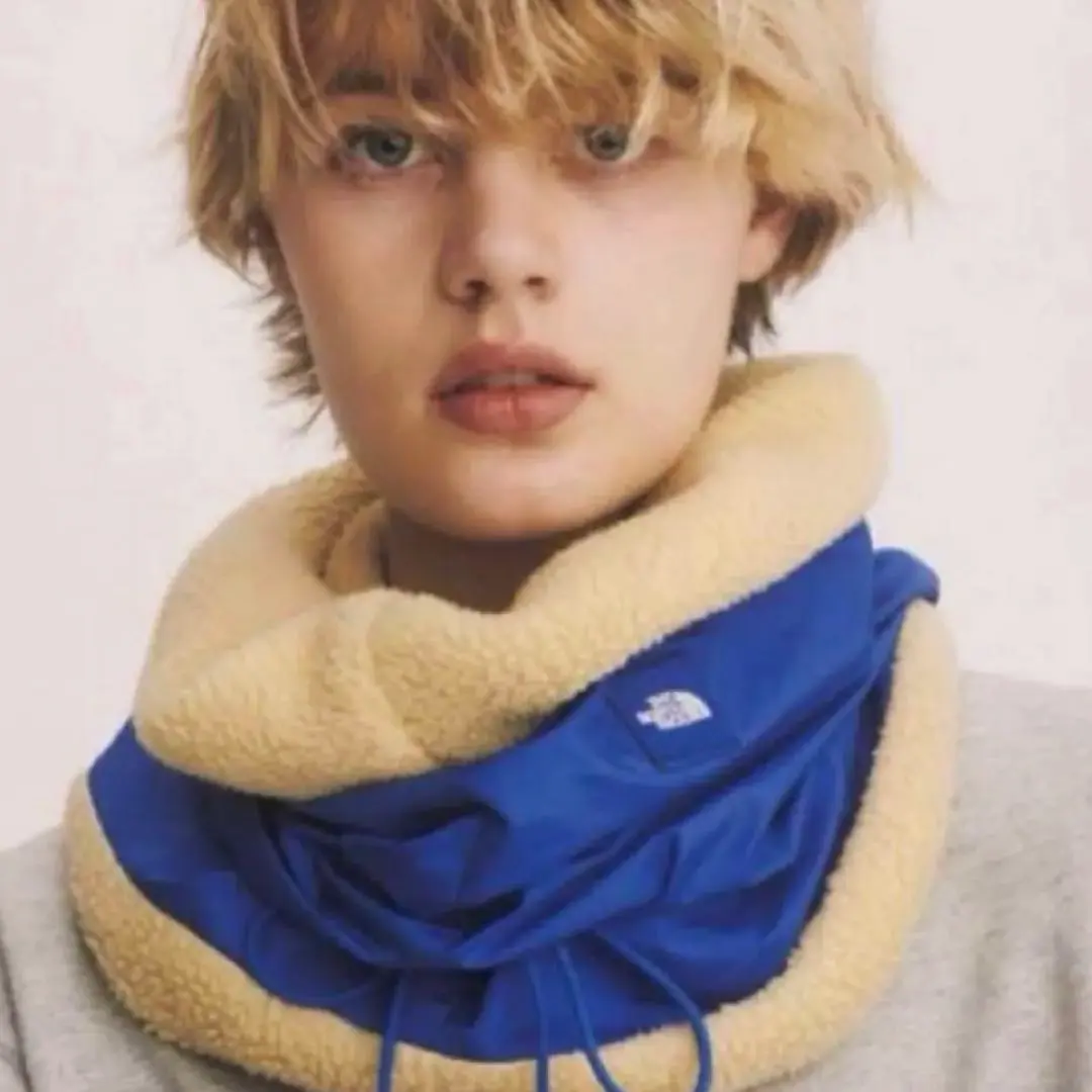 2026年最新】ノースフェイス ネックウォーマー パープルレーベルの人気