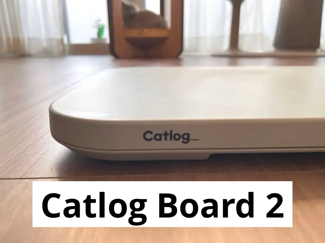 2026年最新】catlog boardの人気アイテム - メルカリ