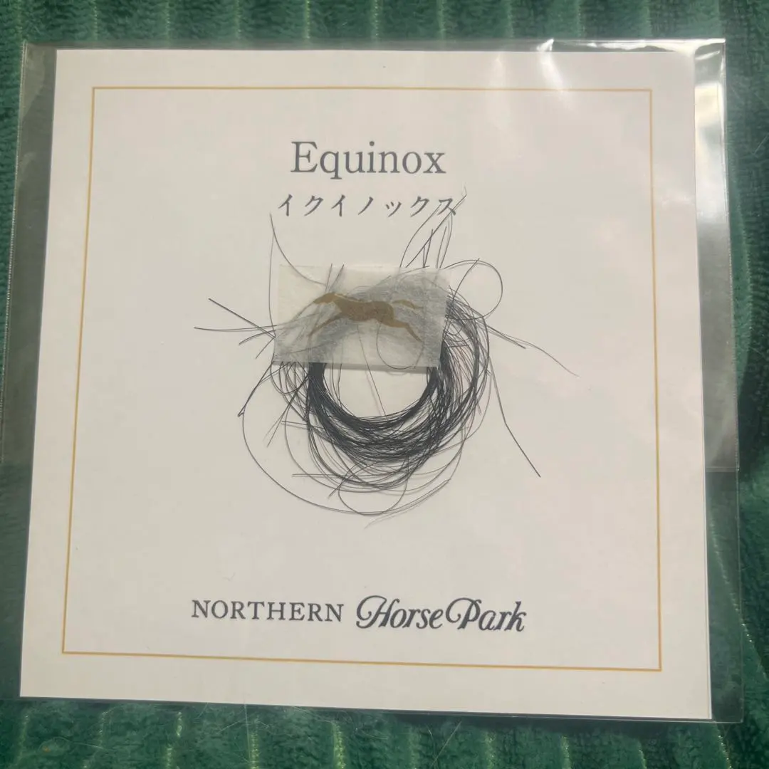 2026年最新】イクイノックス たてがみの人気アイテム - メルカリ