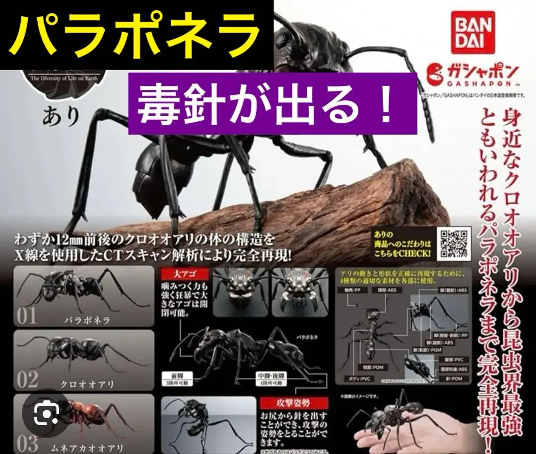 2026年最新】パラポネラの人気アイテム - メルカリ