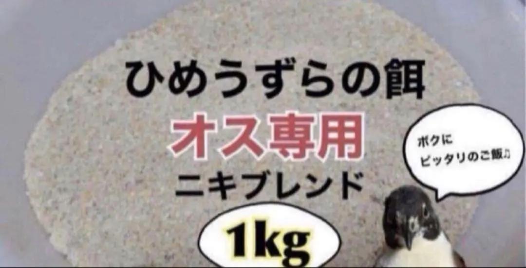 2026年最新】ヒメウズラの人気アイテム - メルカリ