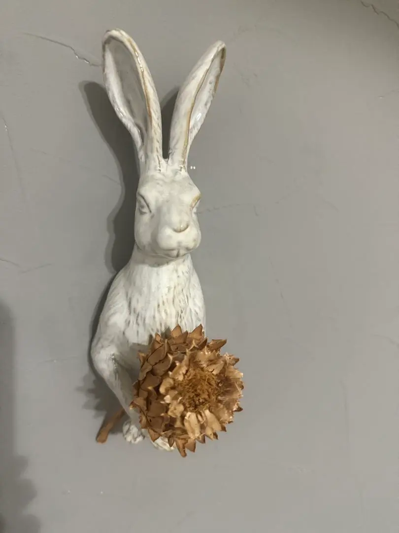 2026年最新】ヤナカーン うさぎの人気アイテム - メルカリ