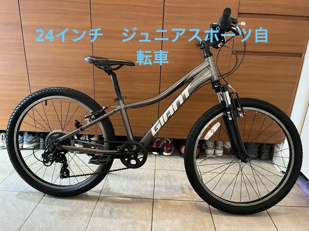 2026年最新】ジャイアント GIANT XTCの人気アイテム - メルカリ