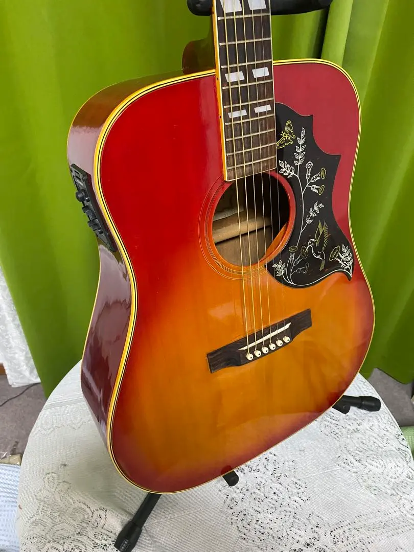 2026年最新】PRO MARTIN アコギの人気アイテム - メルカリ