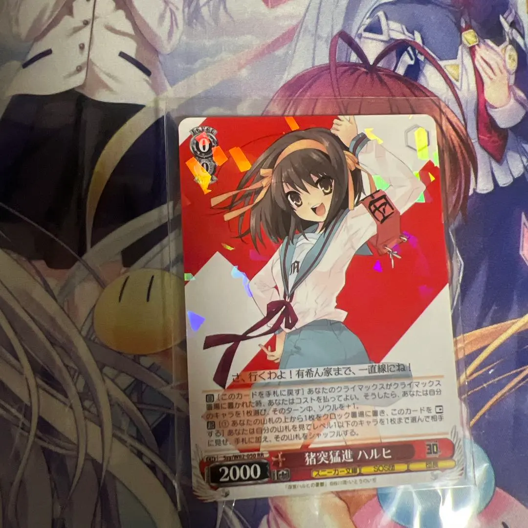 2026年最新】猪突猛進 ハルヒの人気アイテム - メルカリ