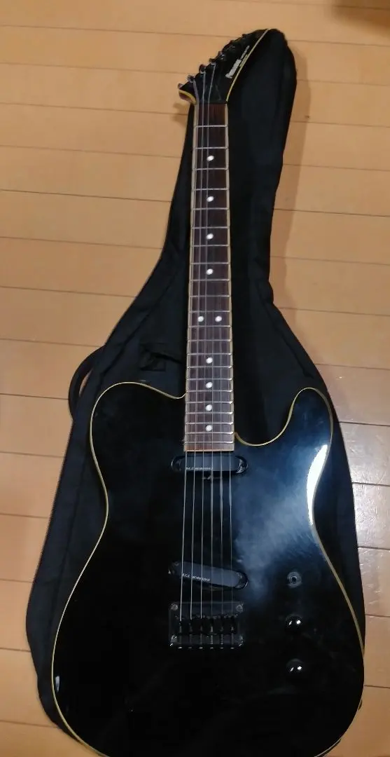 2026年最新】fernandes 布袋 ピックアップの人気アイテム - メルカリ