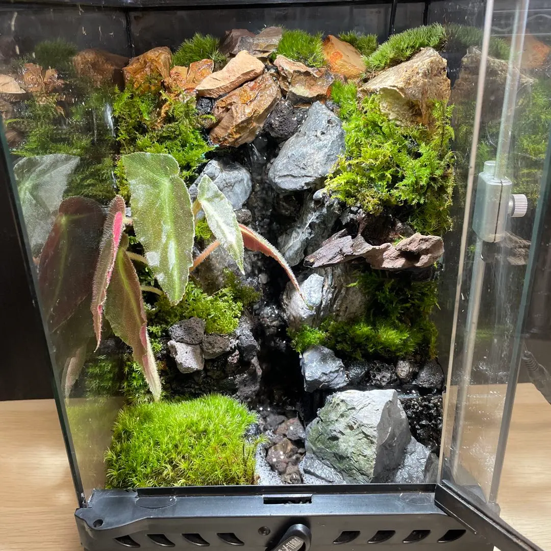 2026年最新】アクアテラリウム 滝の人気アイテム - メルカリ
