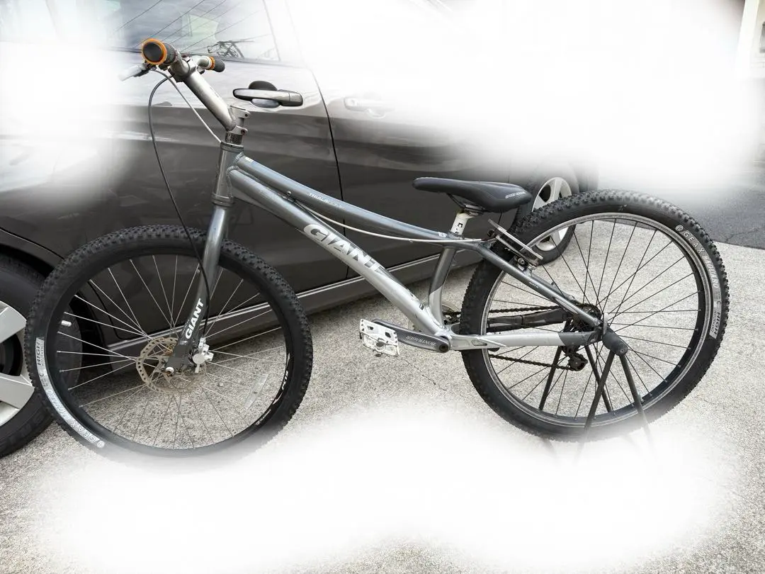 2026年最新】GIANT TRIALSの人気アイテム - メルカリ