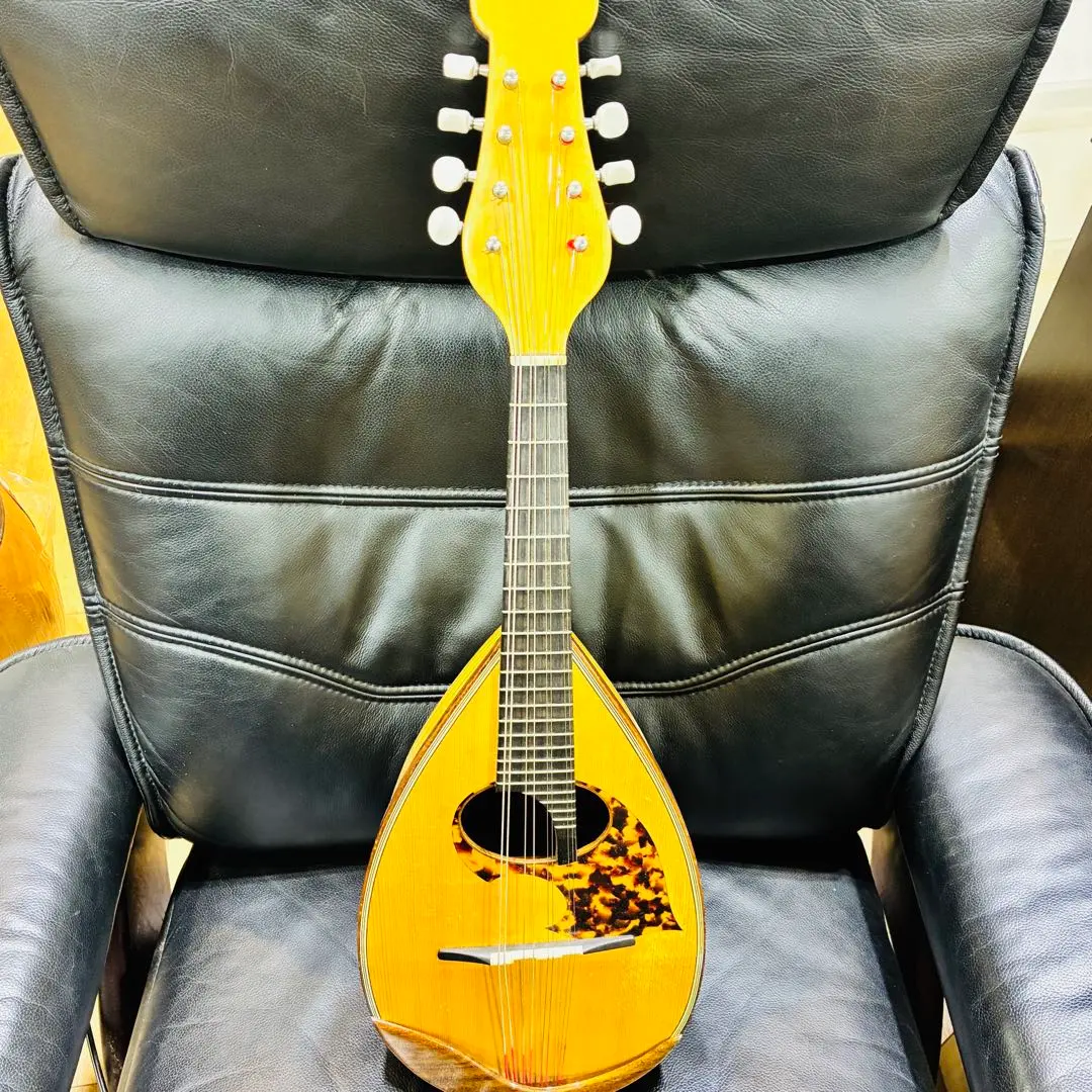 2026年最新】マンドリン 野口の人気アイテム - メルカリ