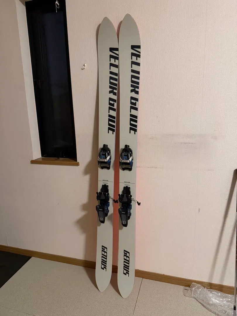 2026年最新】vector glide geniusの人気アイテム - メルカリ