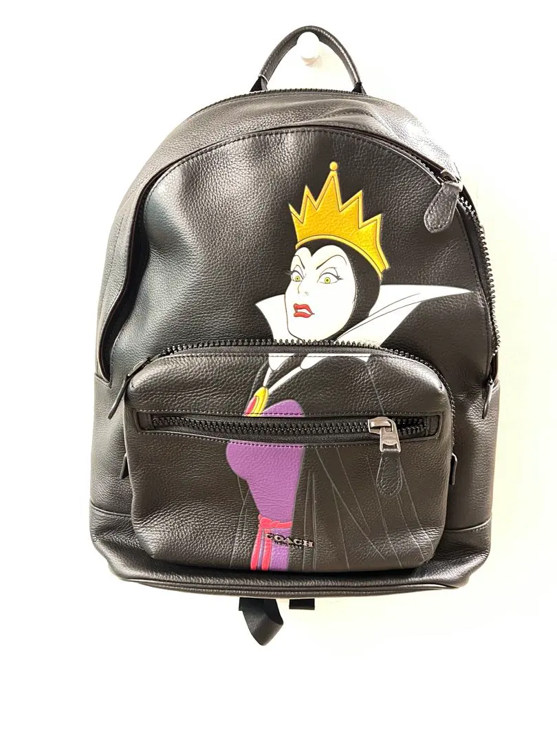 2026年最新】coach ディズニー ヴィランズの人気アイテム - メルカリ