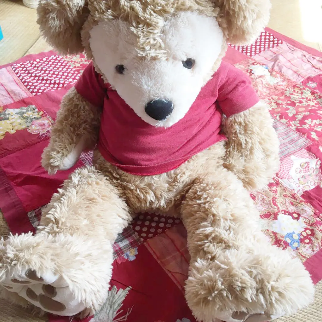 2026年最新】PINKhouse セーラーの人気アイテム - メルカリ