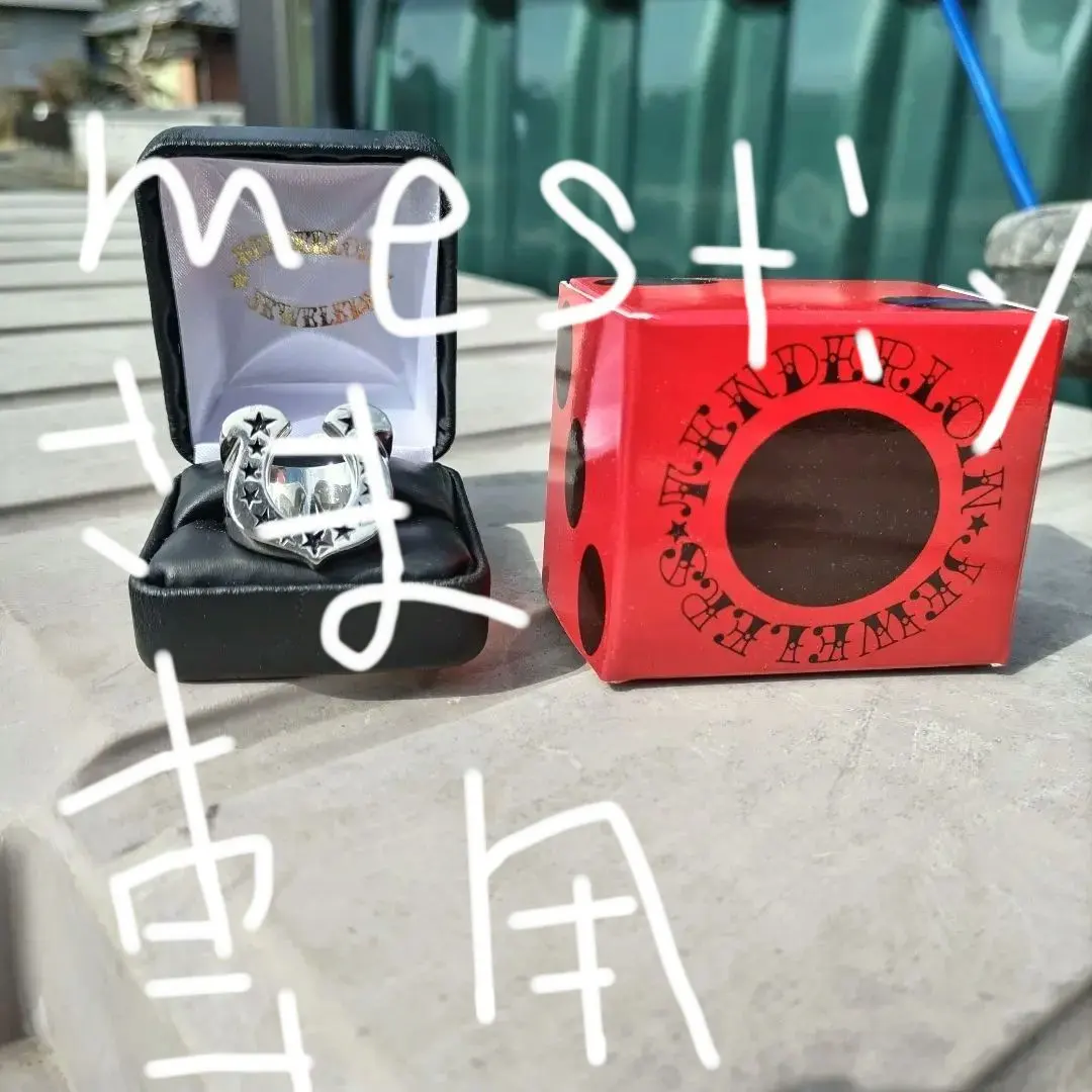 2026年最新】テンダーロイン ホースシューリング 13号の人気アイテム