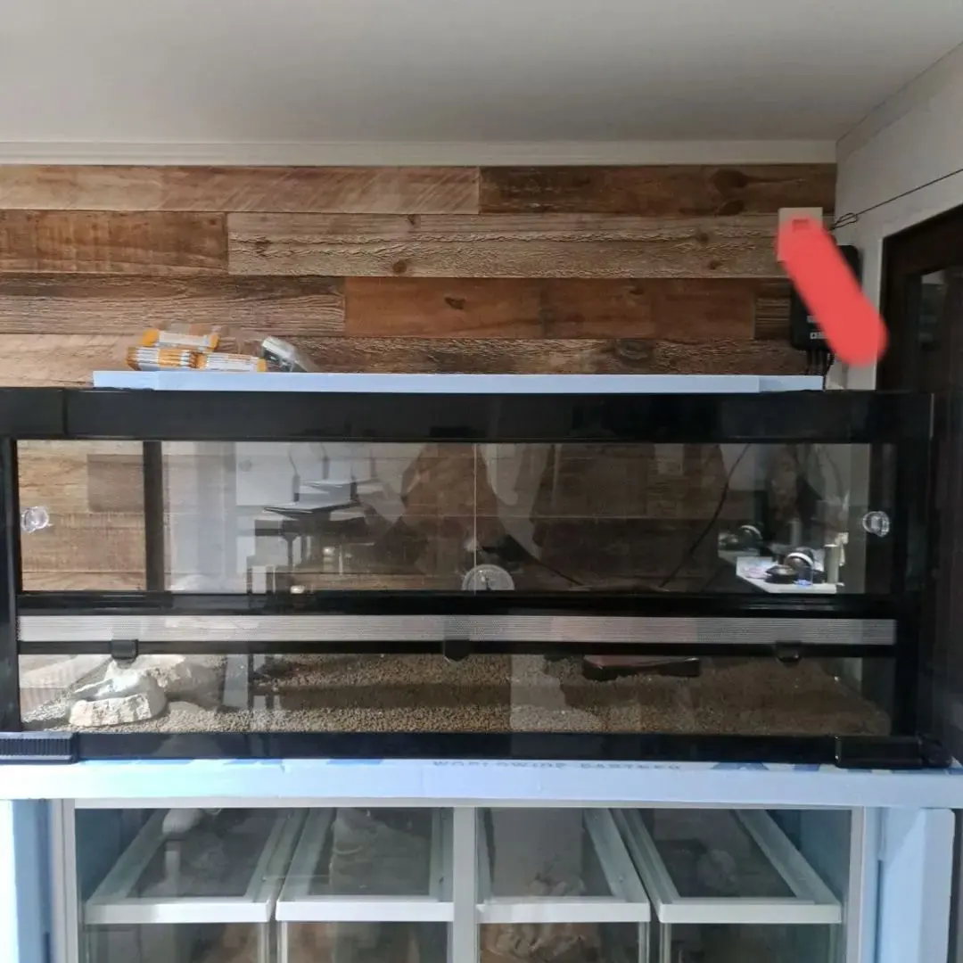 2026年最新】アクリル水槽90の人気アイテム - メルカリ