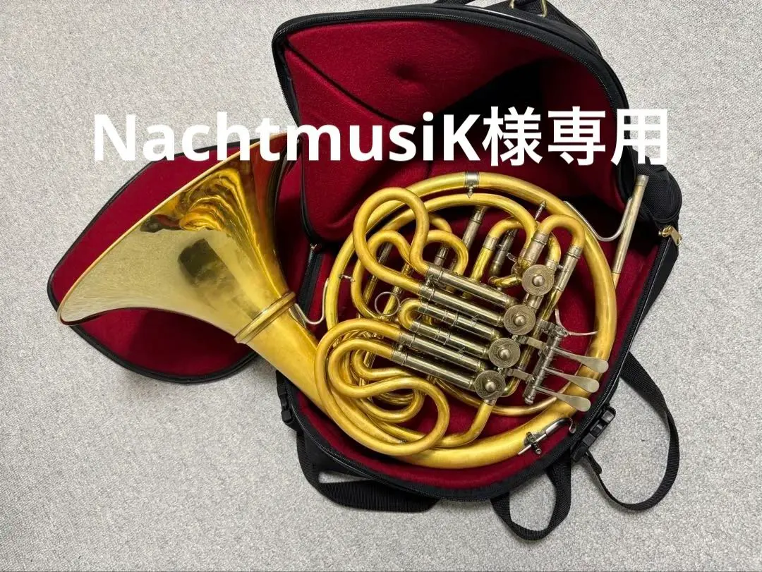 2026年最新】ホルン ケース アレキサンダーの人気アイテム - メルカリ