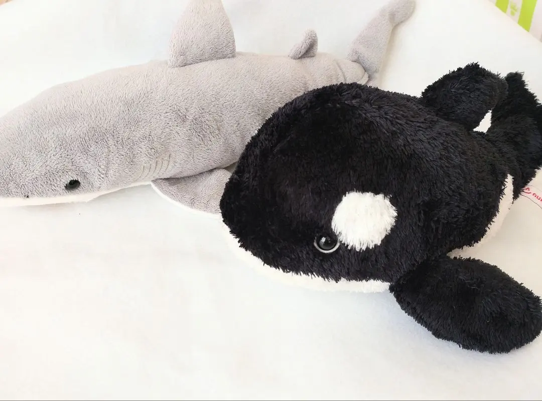 2026年最新】シャチ 歯の人気アイテム - メルカリ