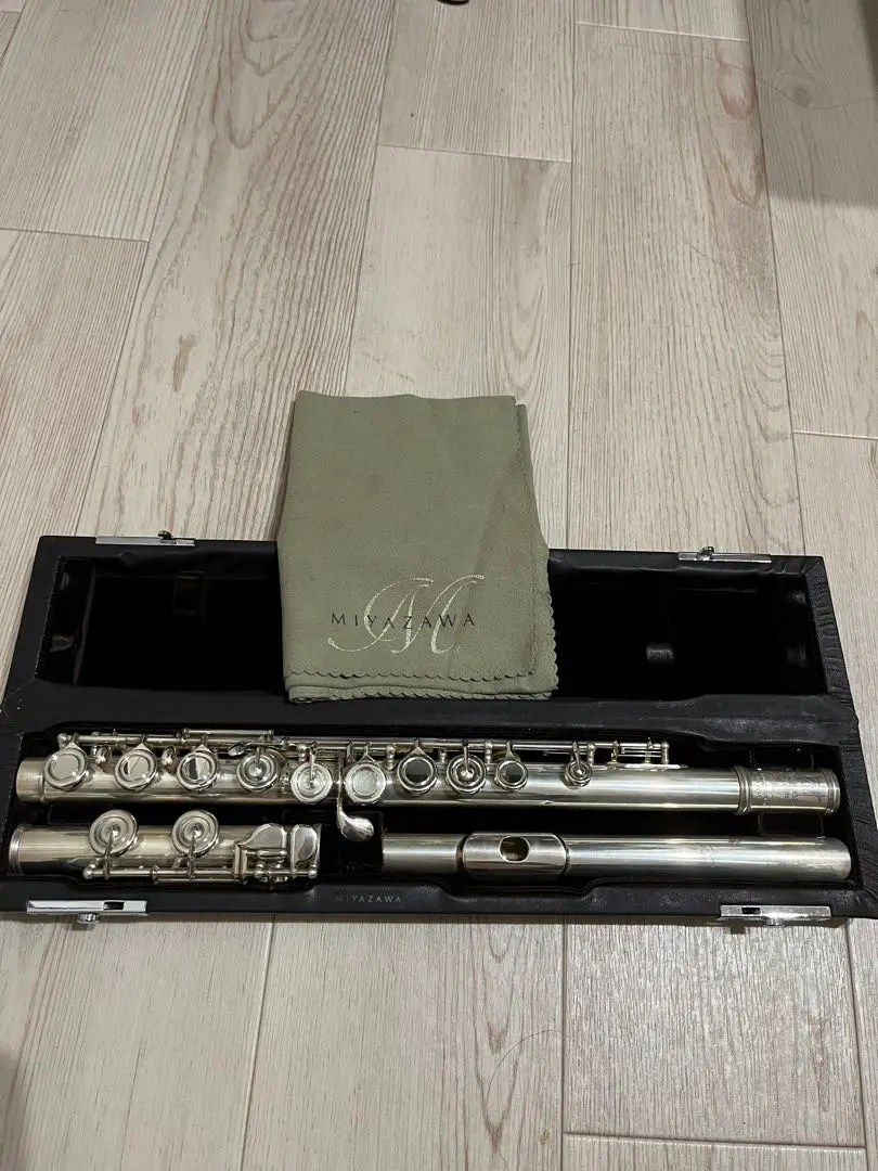 2026年最新】ミヤザワ フルートの人気アイテム - メルカリ