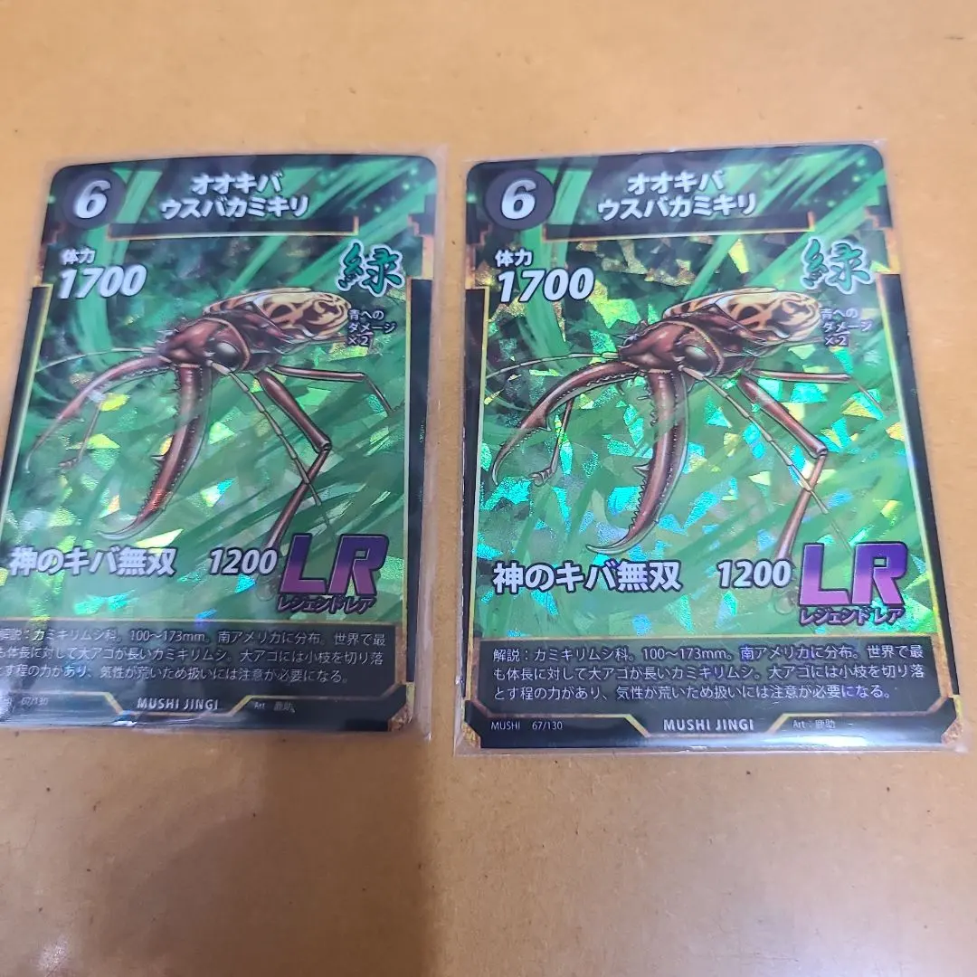 2026年最新】オオキバウスバカミキリ 標本の人気アイテム - メルカリ