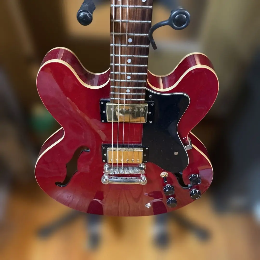 2026年最新】epiphone es 335 dotの人気アイテム - メルカリ