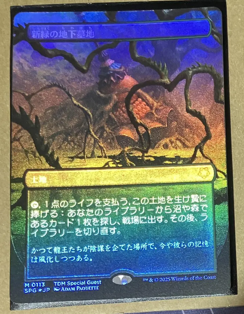 2026年最新】新緑の地下墓地 foilの人気アイテム - メルカリ