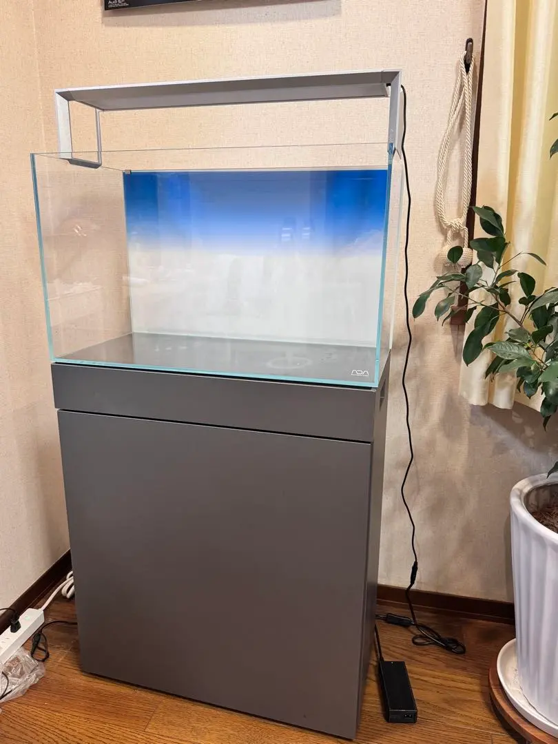 2026年最新】ada ウッドキャビネットの人気アイテム - メルカリ