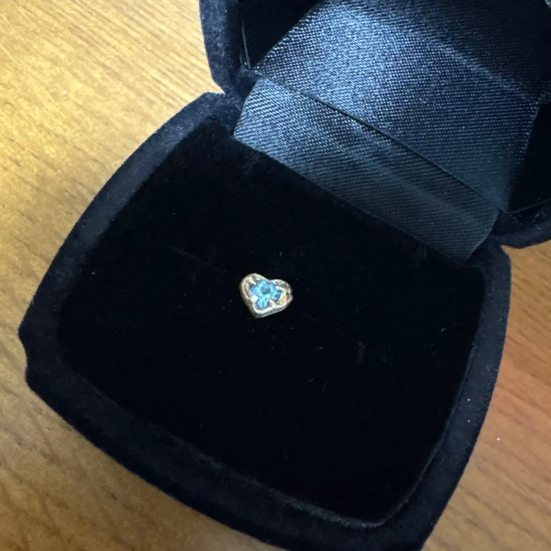 2026年最新】lanie ピアスの人気アイテム - メルカリ