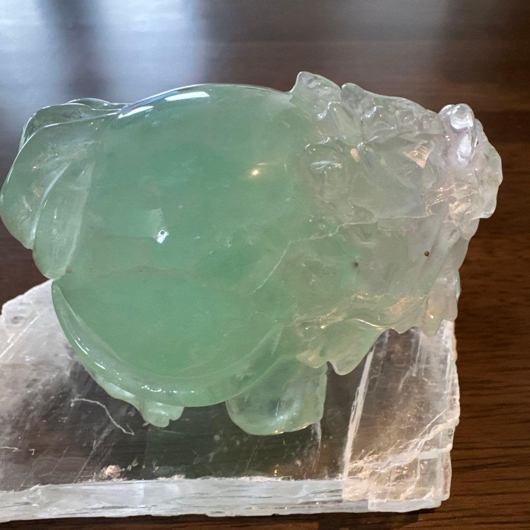 あきずき　フローライト　龍亀　ロングイ　２体セット あきずき フローライト 龍亀 ロングイ 2体セット あきずき フロー