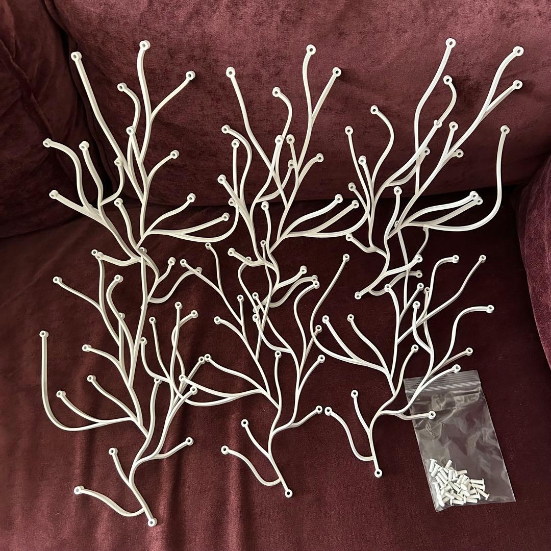 アルギュ ヴィトラ Algue vitra 赤50本➕おまけ　最終価格