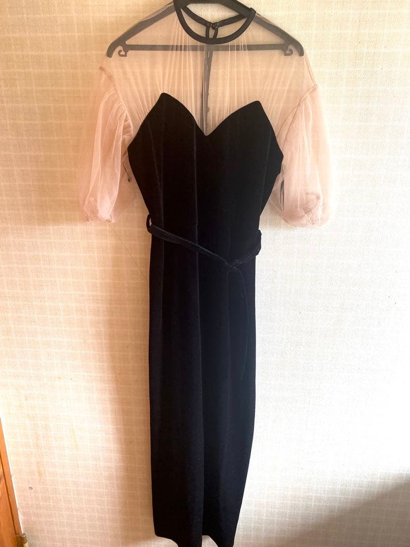 AMERI TULLE SLEEVE DRESS