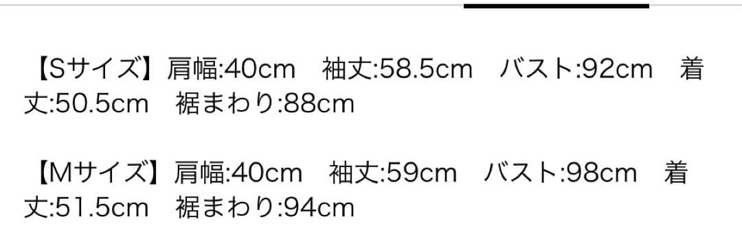 2025SS アプワイザーリッシェ コンパクトライトGジャン M 現行品